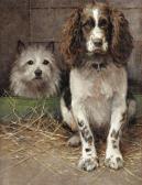FULTON Samuel Spaniel And Cairn FULTON Samuel Spaniel And Cairn