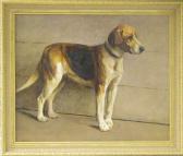 FULTON Samuel Standing Beagle FULTON Samuel Standing Beagle