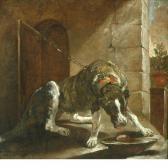 FYT Jan Watch Dog FYT Jan Watch Dog