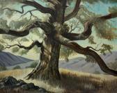 GALLOWAY Quince Rudolph Venerable Oak GALLOWAY Quince Rudolph Venerable Oak