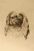 GEE David Studies Of Dogs GEE David Studies Of Dogs