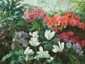 GERLACH Georg Blossoming Flowers In The Green House GERLACH Georg Blossoming Flowers In The Green House