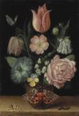 GHEYN de Jacob II A Tulip GHEYN de Jacob II A Tulip