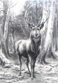 GILBERT Achille Isidore Stag In A Forest GILBERT Achille Isidore Stag In A Forest