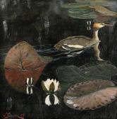 GISLANDER William Dopping Vid Blommande Näckrosor GISLANDER William Dopping Vid Blommande Näckrosor