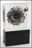 GLADSTONE Gerald Optical Orbital Series #4 GLADSTONE Gerald Optical Orbital Series #4