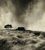 GODWIN Fay Top Withens Near Haworth, Yorkshire GODWIN Fay Top Withens Near Haworth, Yorkshire