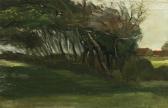 GOGH van Vincent Landscape With Windswept Trees GOGH van Vincent Landscape With Windswept Trees