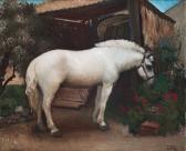 GONZALEZ SAENZ Rafael Burro GONZALEZ SAENZ Rafael Burro