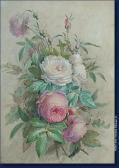 GORTER Gertrude Catherine Roses GORTER Gertrude Catherine Roses