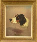 Graeme Roe Colin Study For The Head Of An Early Pointer Graeme Roe Colin Study For The Head Of An Early Pointer