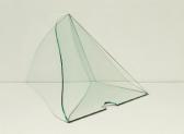 Grafton Rick Overlap Grafton Rick Overlap