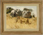 GRANT Donald Lions Of The Serengeti GRANT Donald Lions Of The Serengeti
