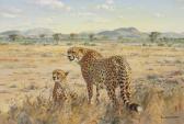 GRANT Donald Two Cheetahs GRANT Donald Two Cheetahs
