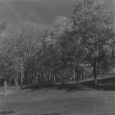 GRAUERHOLZ Angela Park GRAUERHOLZ Angela Park