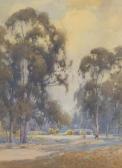GRAY Percy Clouds Gathering Above A Eucalyptus Grove GRAY Percy Clouds Gathering Above A Eucalyptus Grove
