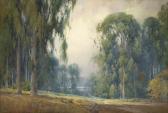 GRAY Percy Eucalyptus Landscape GRAY Percy Eucalyptus Landscape