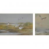 GREEN Roland An Osprey; And Avocets GREEN Roland An Osprey; And Avocets