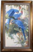 Greene Shirley Three Macaws In Fruit Tree Greene Shirley Three Macaws In Fruit Tree