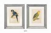 GREENE William Thomas Parrots In Captivity GREENE William Thomas Parrots In Captivity
