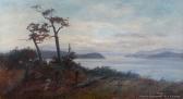 GREENE William Thomas Stewart Island GREENE William Thomas Stewart Island