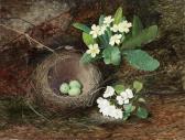 GRIMSHAW John Atkinson Thrush's Nest, Primroses, Pear Blossom GRIMSHAW John Atkinson Thrush's Nest, Primroses, Pear Blossom