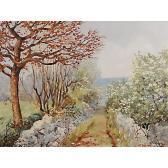 GRUBISSA Guglielmo Bosco Carsico GRUBISSA Guglielmo Bosco Carsico