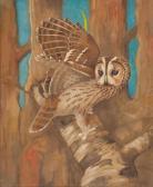 GUDGEON Ralston Arn Owl GUDGEON Ralston Arn Owl
