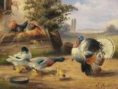 guttl johann /tgeflügelhof Mit Enten Und Truthahn// guttl johann /tgeflügelhof Mit Enten Und Truthahn//