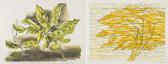 GUTTUSO Renato Foglie GUTTUSO Renato Foglie