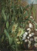 H. REMINGTON Elizabeth The Two Kings: Corn, Cotton H. REMINGTON Elizabeth The Two Kings: Corn, Cotton