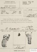 HAACKE Hans Newborn Identification HAACKE Hans Newborn Identification