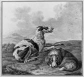 HAAG Tethart Philip Christiaan Two Dogs Resting In A Hilly Landscape HAAG Tethart Philip Christiaan Two Dogs Resting In A Hilly Landscape