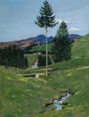 HAAGA K. Voralpenlanschaft HAAGA K. Voralpenlanschaft