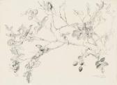 HAASE Hermann Wildrosen Im Herbst HAASE Hermann Wildrosen Im Herbst