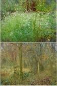 HACKER Arthur Oxeye Daisies And Other Flowers In A Meadow Woodland One HACKER Arthur Oxeye Daisies And Other Flowers In A Meadow Woodland One