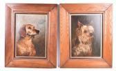 HADDON Arthur Trevor Two Portraits Of A Yorkshire Terrier And A Hunting Dog HADDON Arthur Trevor Two Portraits Of A Yorkshire Terrier And A Hunting Dog