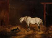 HAGGIS John Alfred White Horse And A Dog In A Stable HAGGIS John Alfred White Horse And A Dog In A Stable