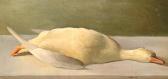 HAMEL Willem Still Life Of A Dead Duck HAMEL Willem Still Life Of A Dead Duck