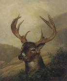 HARDY Jeremiah Pearson A Stag In A Mountainous Landscape HARDY Jeremiah Pearson A Stag In A Mountainous Landscape