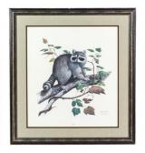 HARM Ray Racoon HARM Ray Racoon