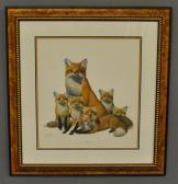 HARM Ray Red Fox HARM Ray Red Fox