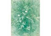 HAYASHI Junichi Green HAYASHI Junichi Green