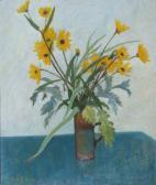 HAYDON AUDREY Helianthus HAYDON AUDREY Helianthus