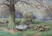 Haye John Macpherson Sheep Grazing By Riverside Haye John Macpherson Sheep Grazing By Riverside