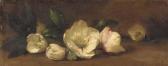 HAYWARD Alfred Frederick W. Christmas Roses HAYWARD Alfred Frederick W. Christmas Roses