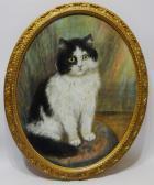 HEAPS Maud D. Portrait Of A Kitten HEAPS Maud D. Portrait Of A Kitten