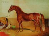 HEARSEY Hyder Young Portrait Of A Horse HEARSEY Hyder Young Portrait Of A Horse