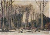 HELAS Max Weißrussischer Wald HELAS Max Weißrussischer Wald