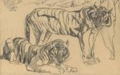 HENDERSON Elsie M. Two Tigers (illustrated); And Resting Tiger HENDERSON Elsie M. Two Tigers (illustrated); And Resting Tiger